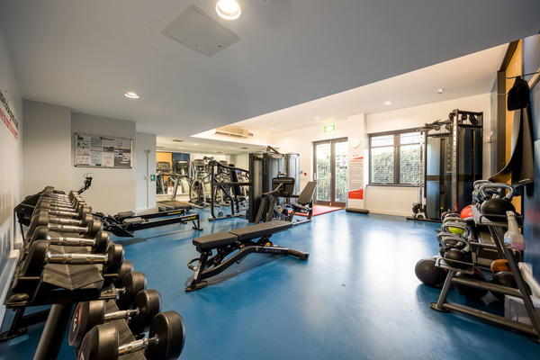 The University Club Gym showing the rowing machine, weights, and running machines